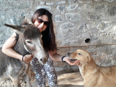 About Your Trusted Pet Sitter: A female pet sitter from Mutt and Manor with a donkey and a dog